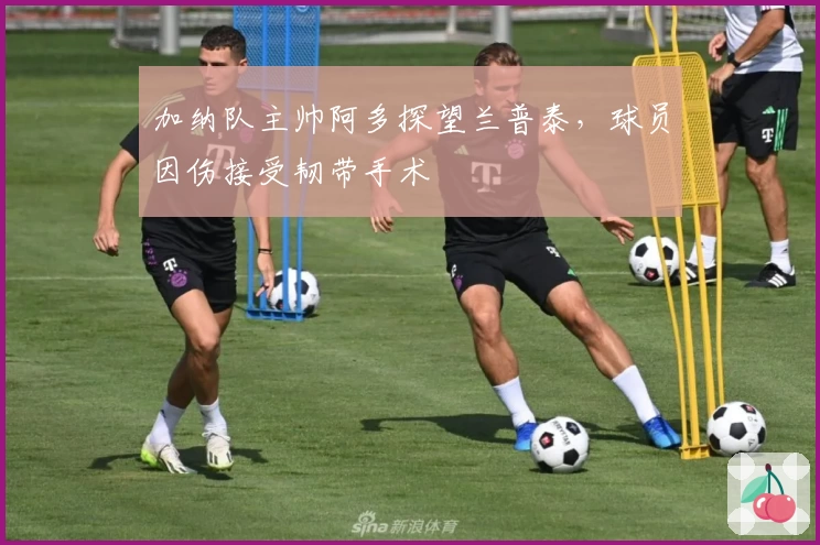 加纳队主帅阿多探望兰普泰，球员因伤接受韧带手术